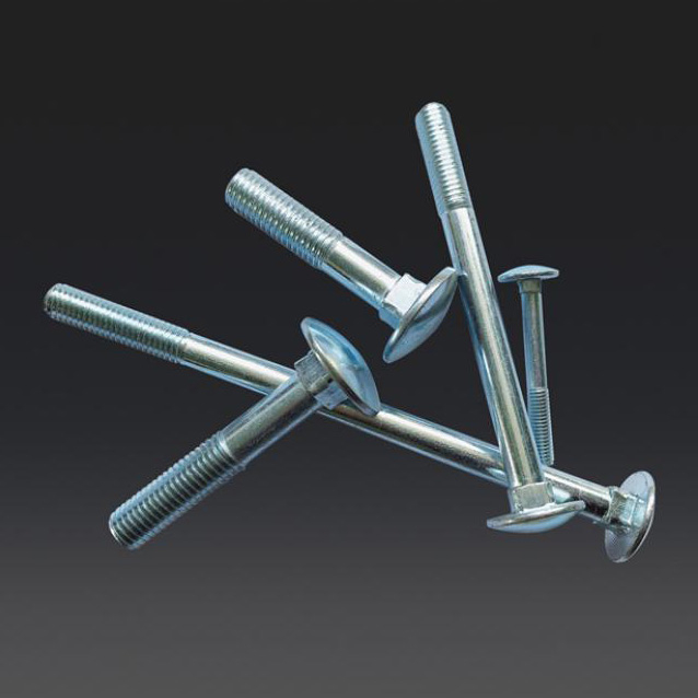Carriage Bolt